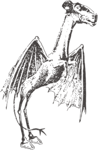 Jersey Devil Jersey Devil